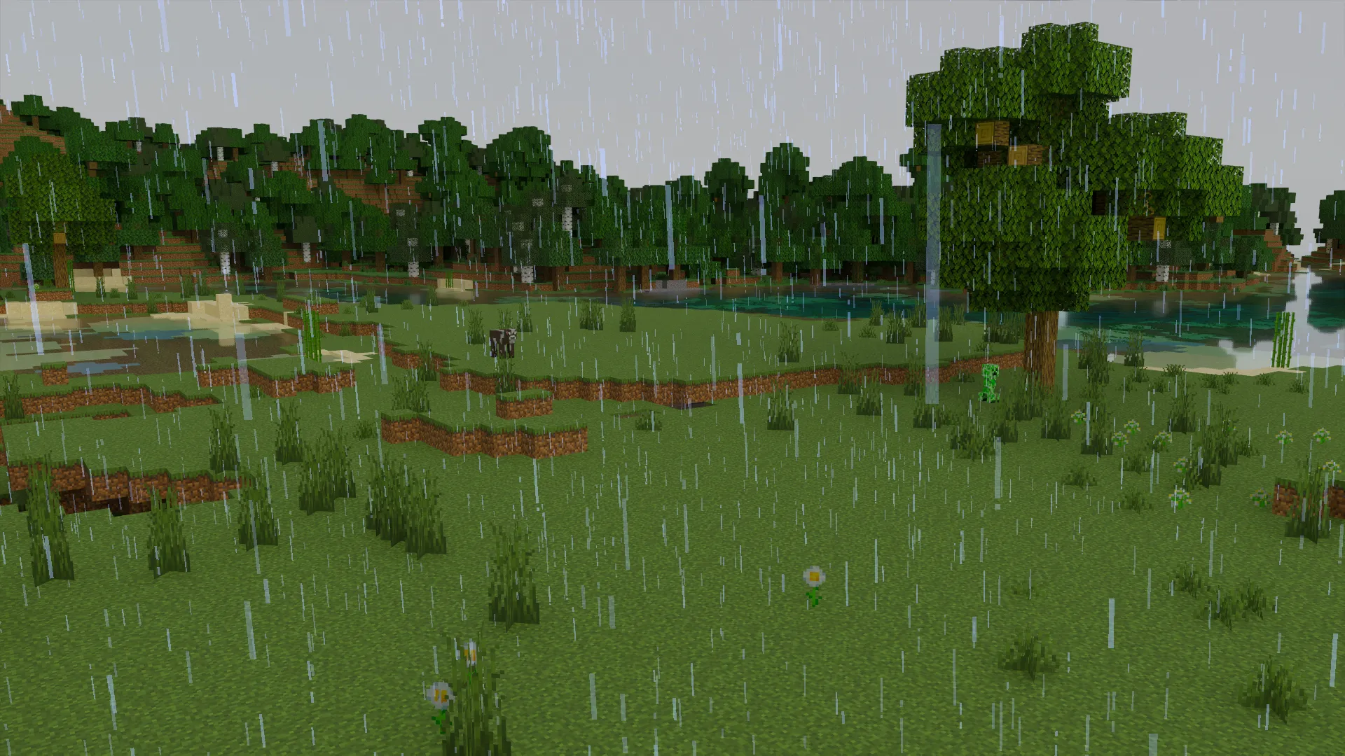 Vanilla Rain