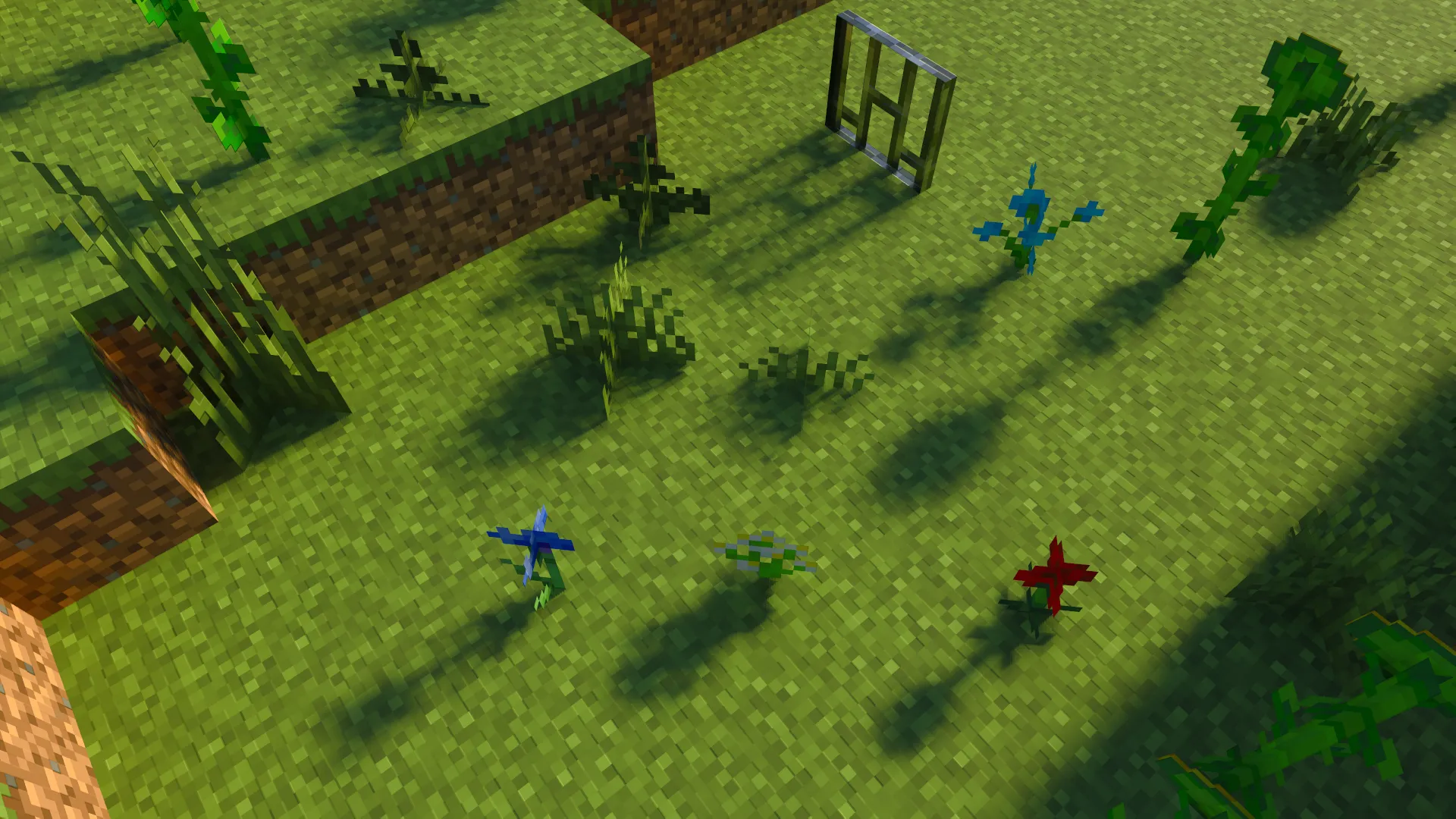 Vanilla Sun Shadows